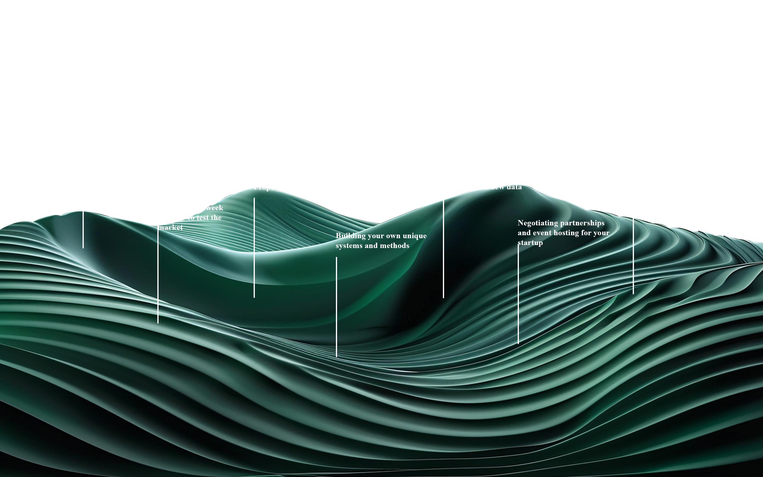 Roadmap - Building your own unique systems and methods, negotiating partnerships and event hosting for your startup
